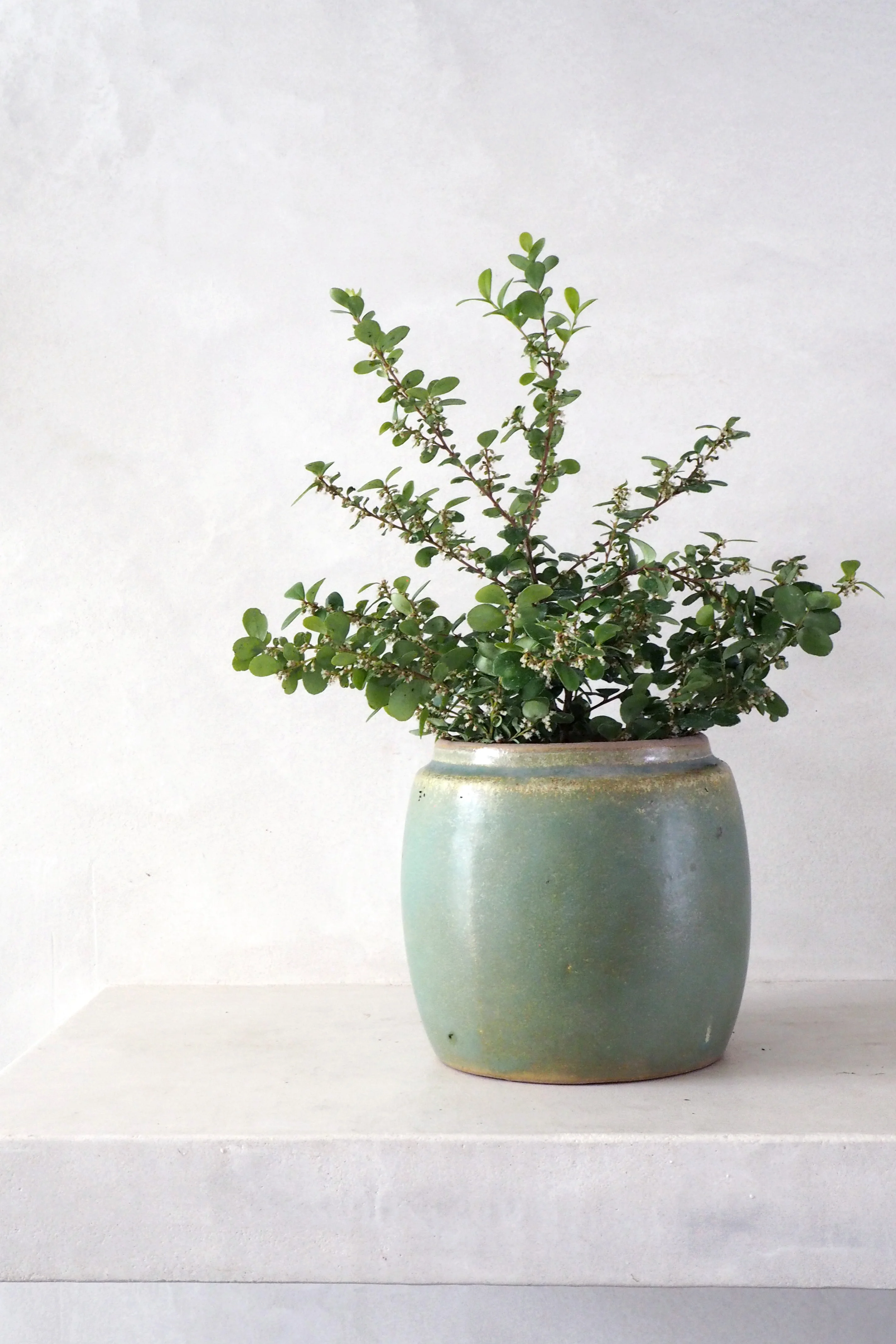 Berit, lysegrøn, ø12 cm - Image 2