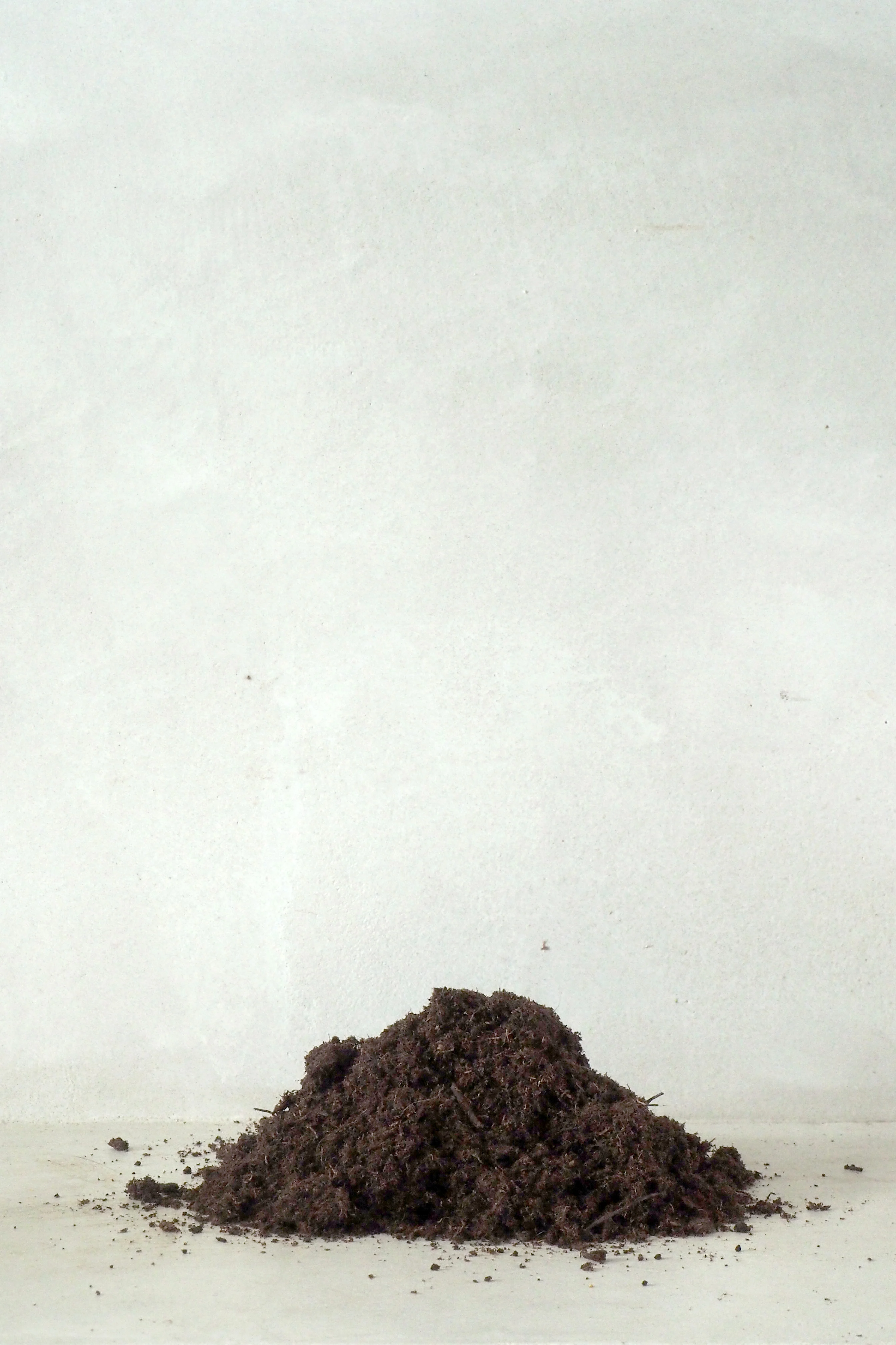 Miniaturebillede 1