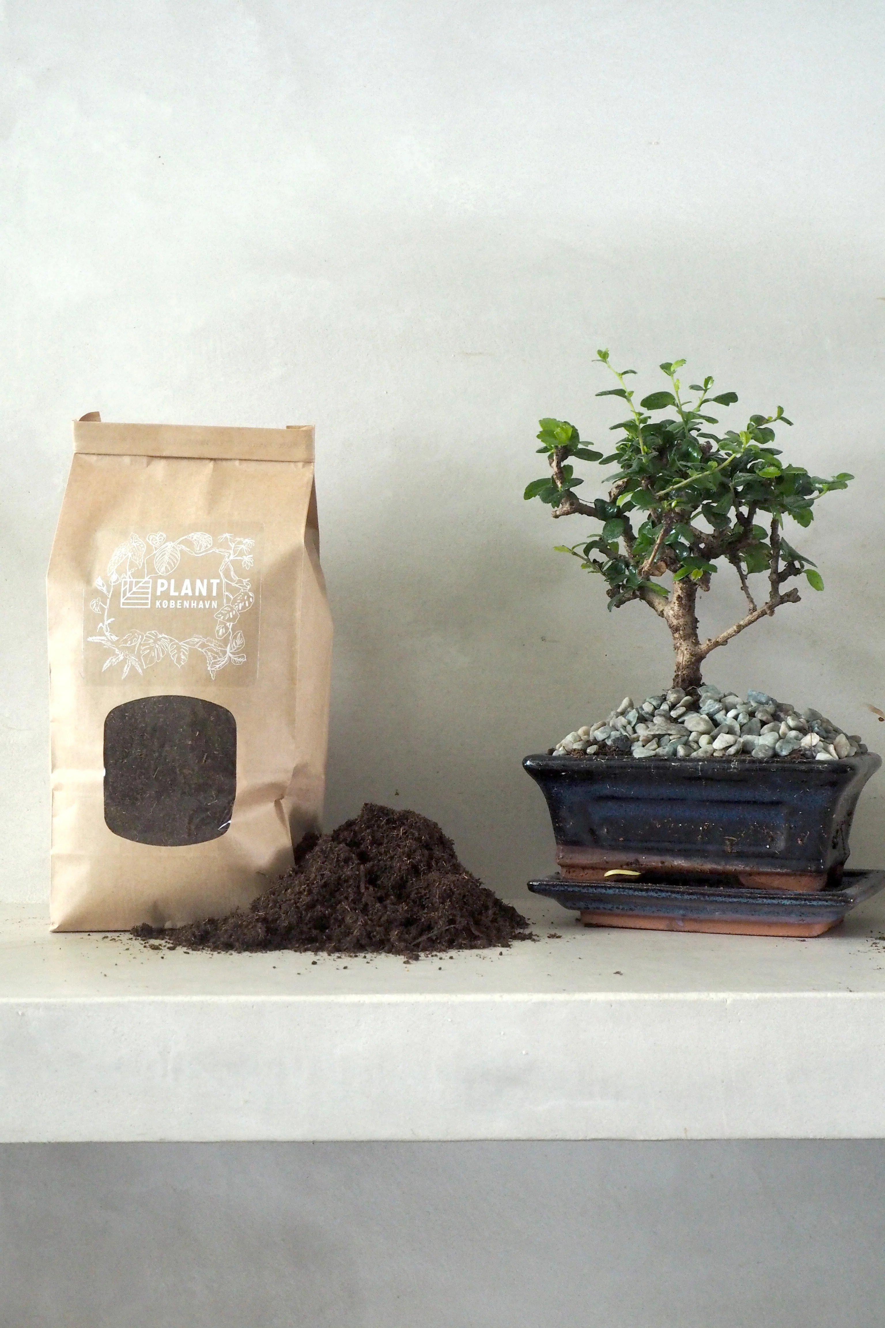 Bonsai jord - Image 3