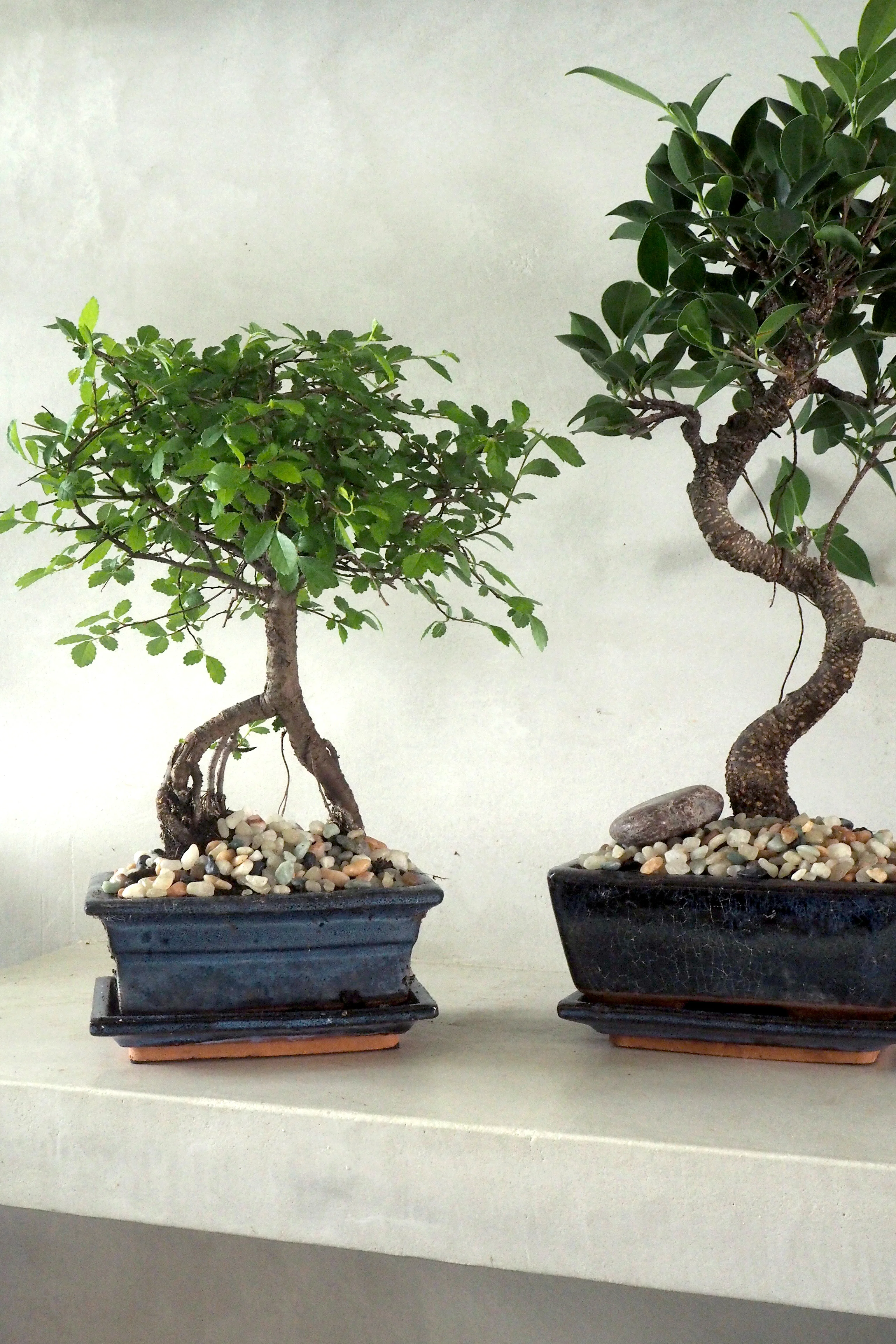 Miniaturebillede 2