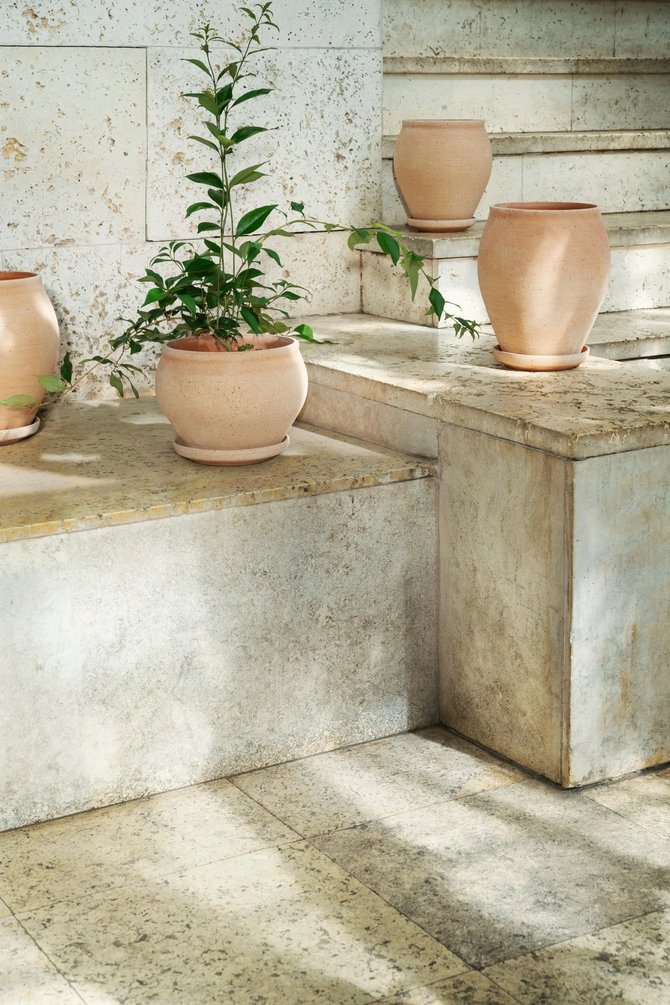 Delphi krukke, Raw Rosa - Image 14