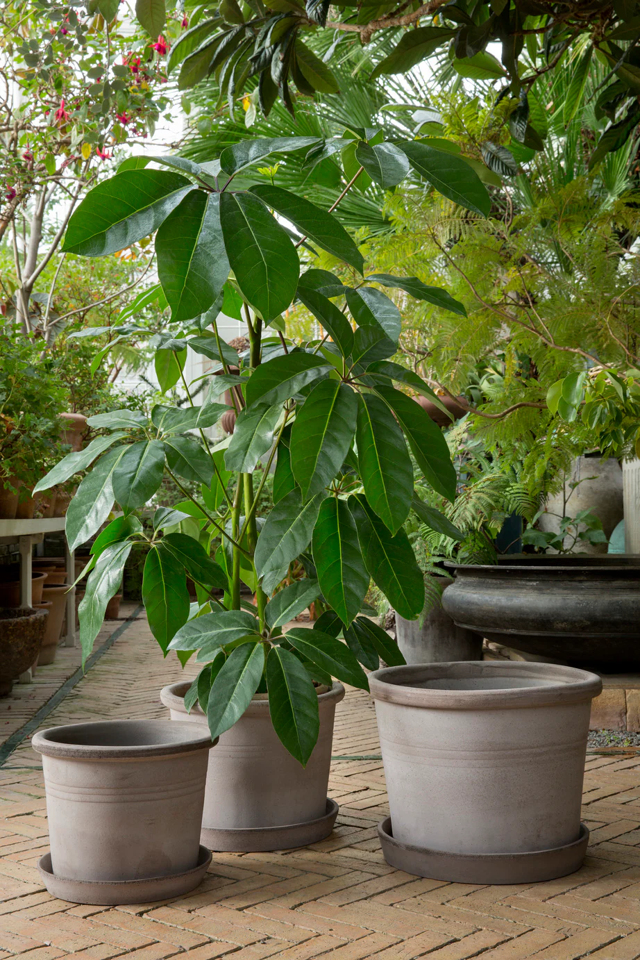 Galestro gulvkrukke, raw grey - Image 4