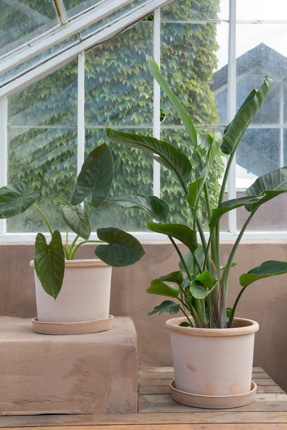 Galestro gulvkrukke, raw rosa - Image 4
