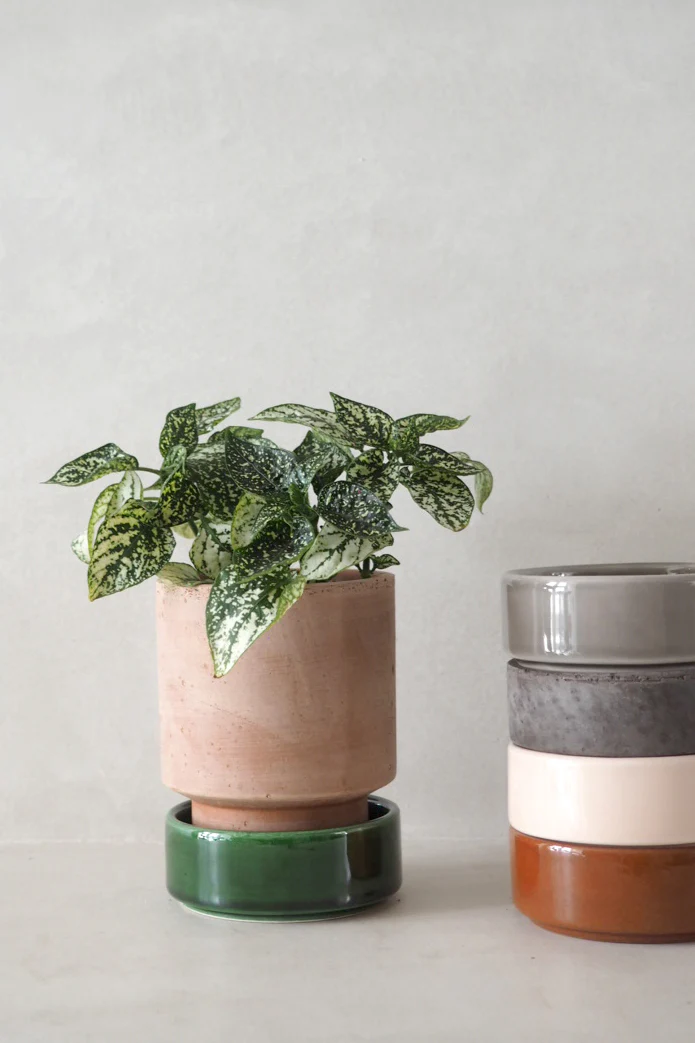 Hoff krukke, raw rosa - Image 5