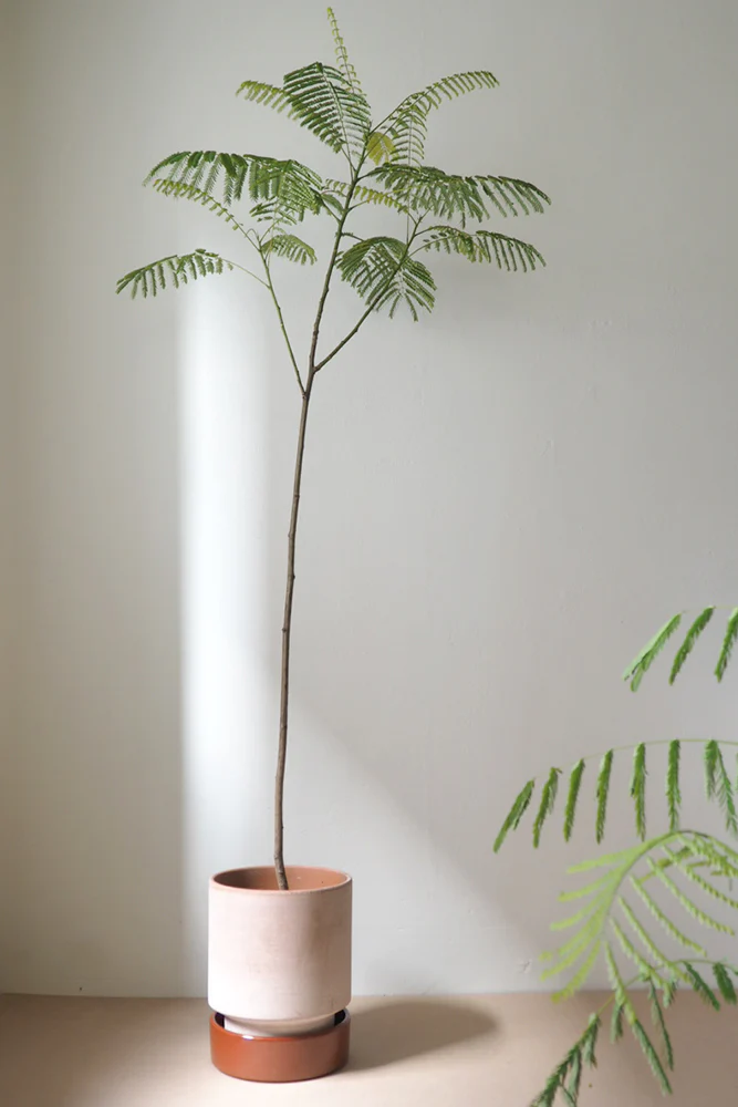 Hoff krukke, raw rosa + rust underskål - Image 4