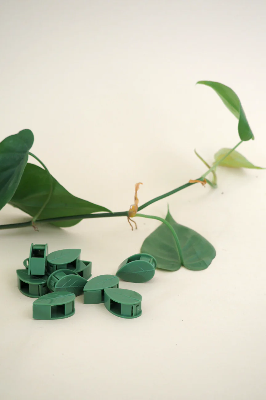 Leafy Clips - Image 3