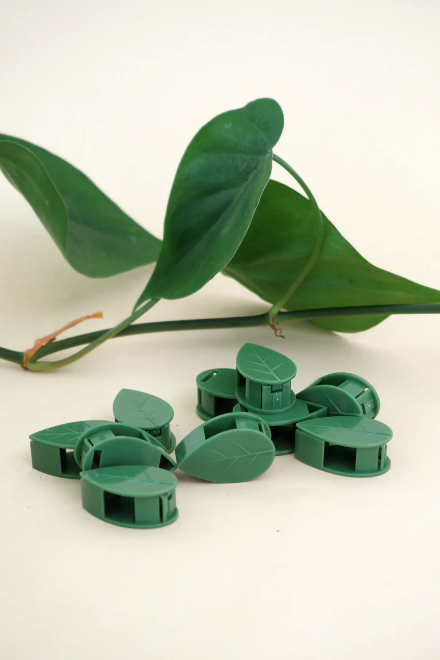 Leafy Clips - Image 4