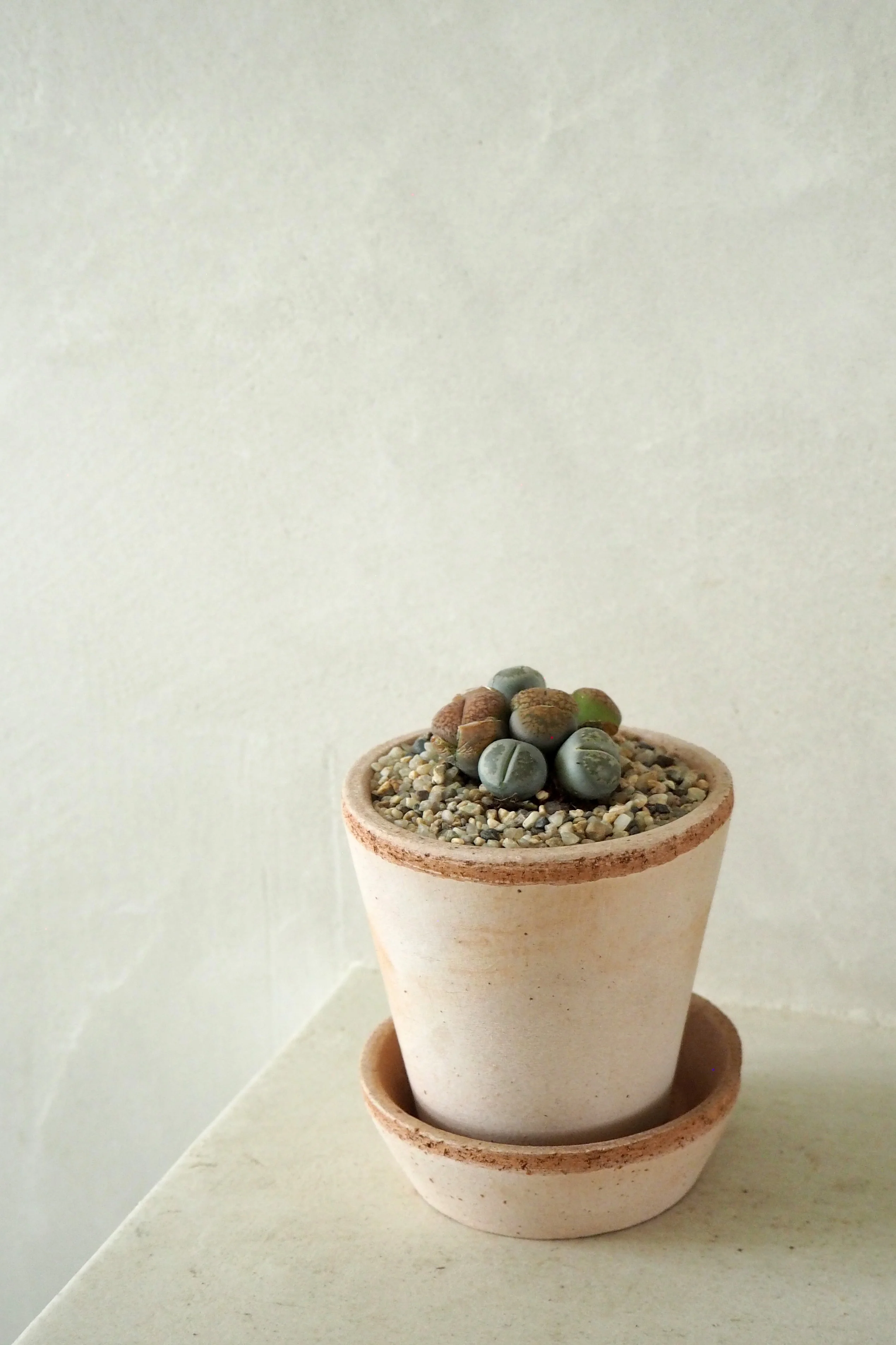 Levende Sten - mini - Image 5