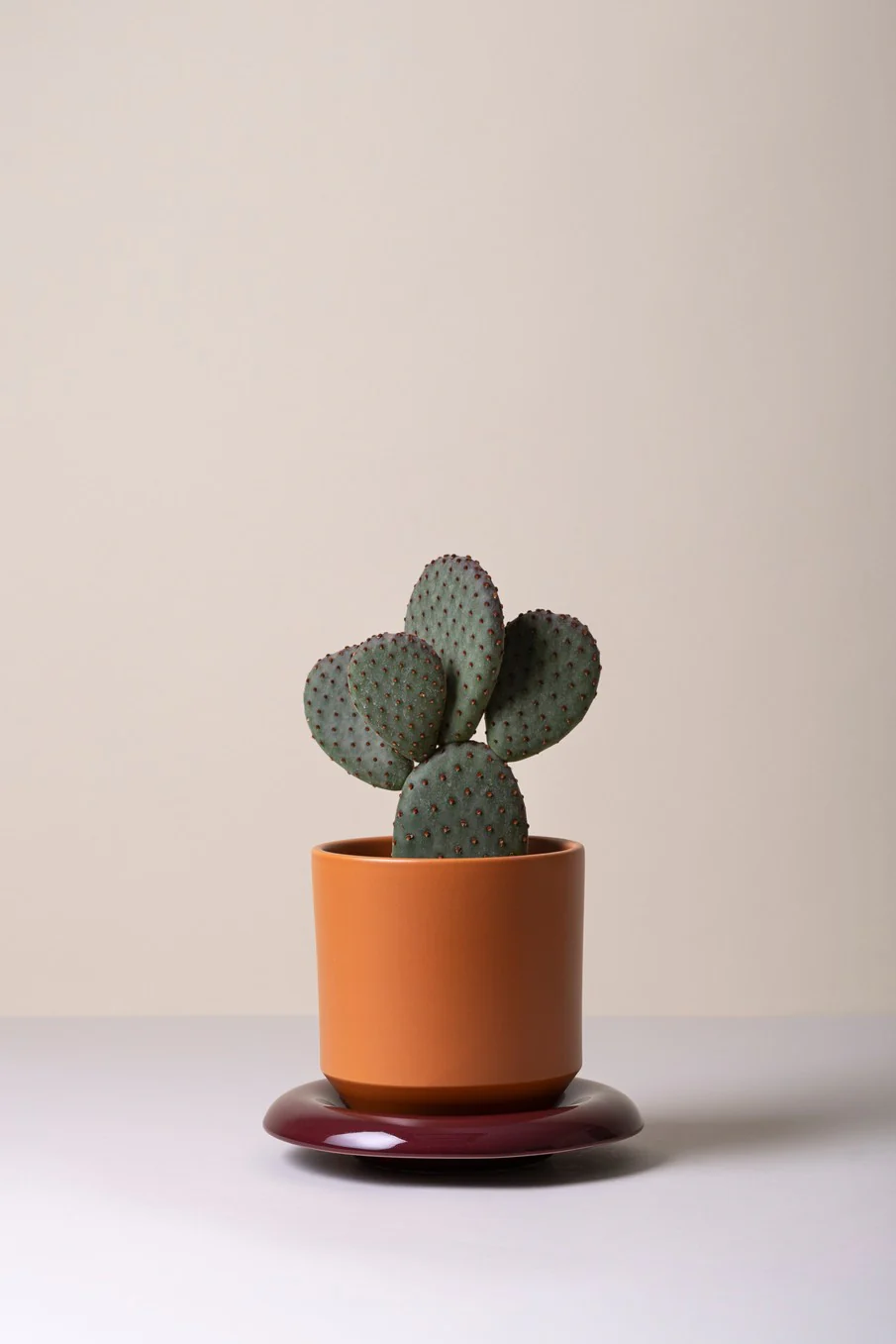 Lily krukke, Tangeringe Orange - Image 2