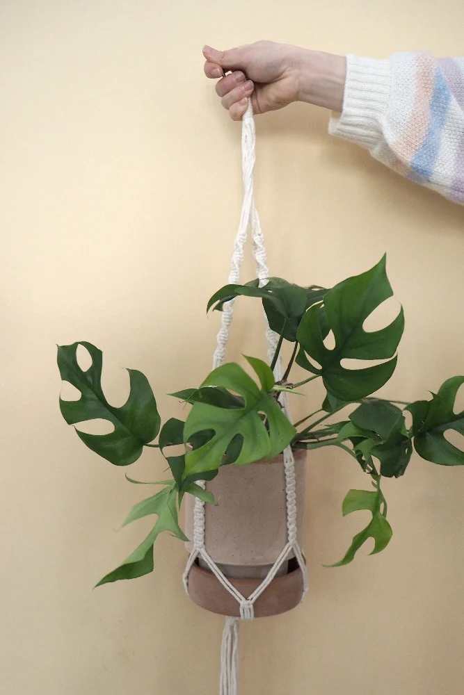 Macramé planteophæng - Image 4