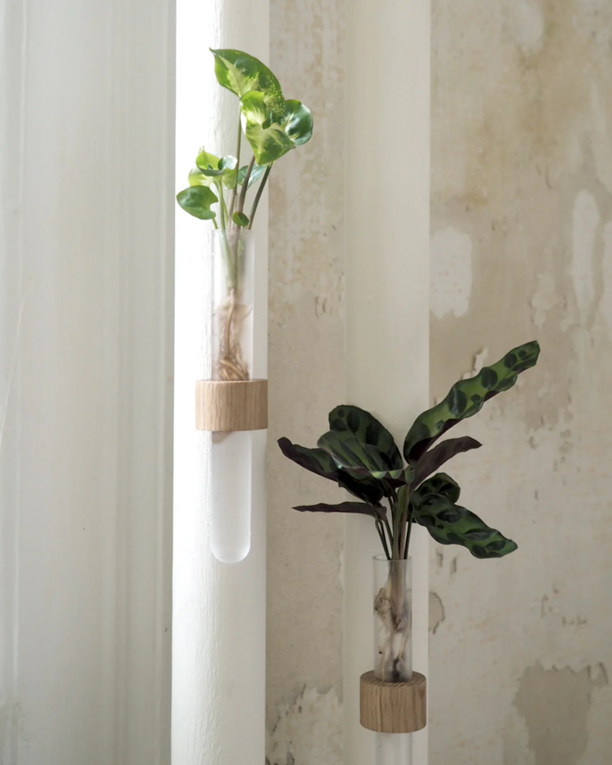 Magnet - stiklingeholder - Image 5