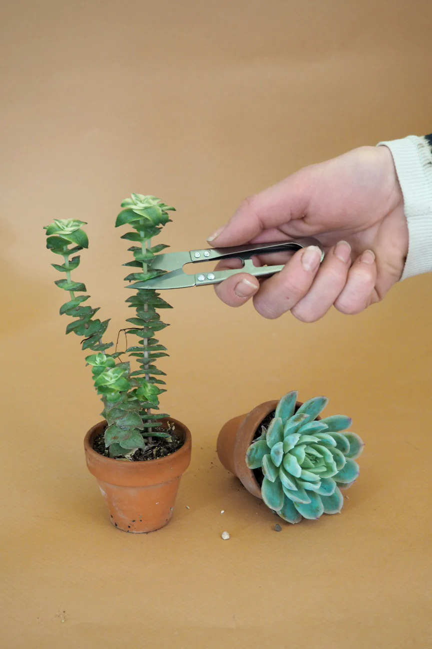 Mini beskærersaks - Image 3
