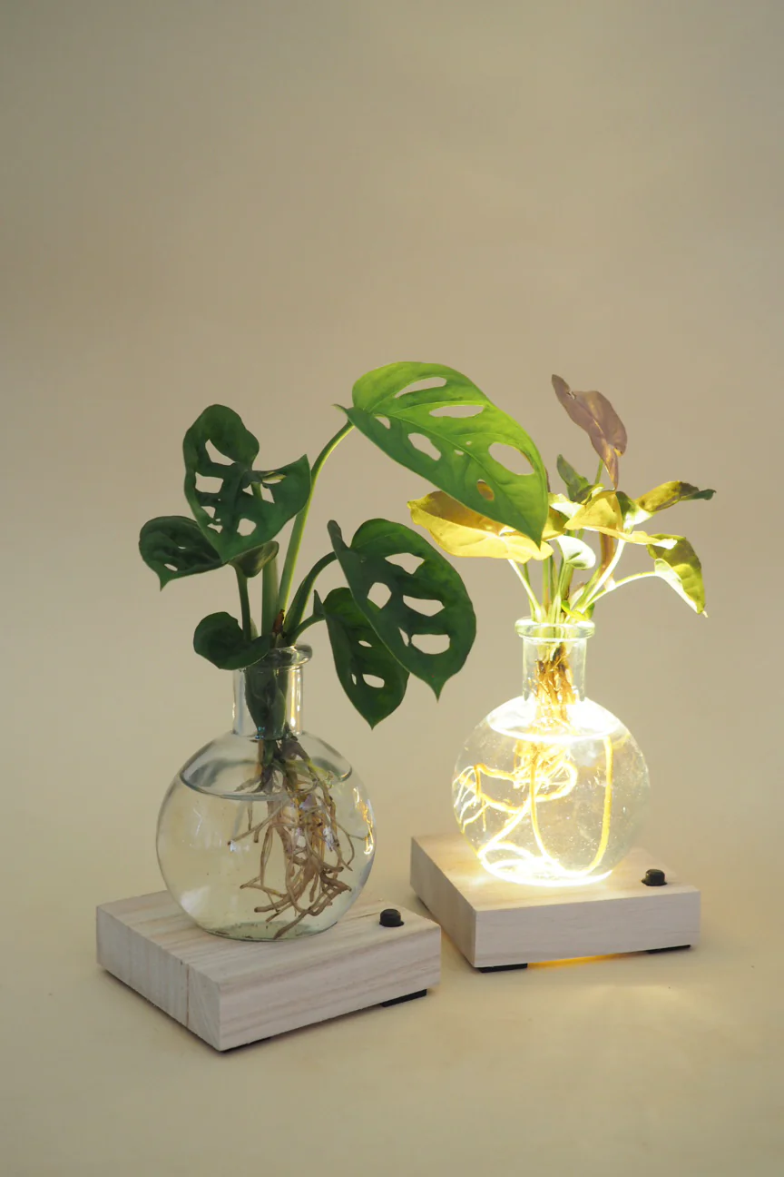 Plantelampe, Monstera - Image 7
