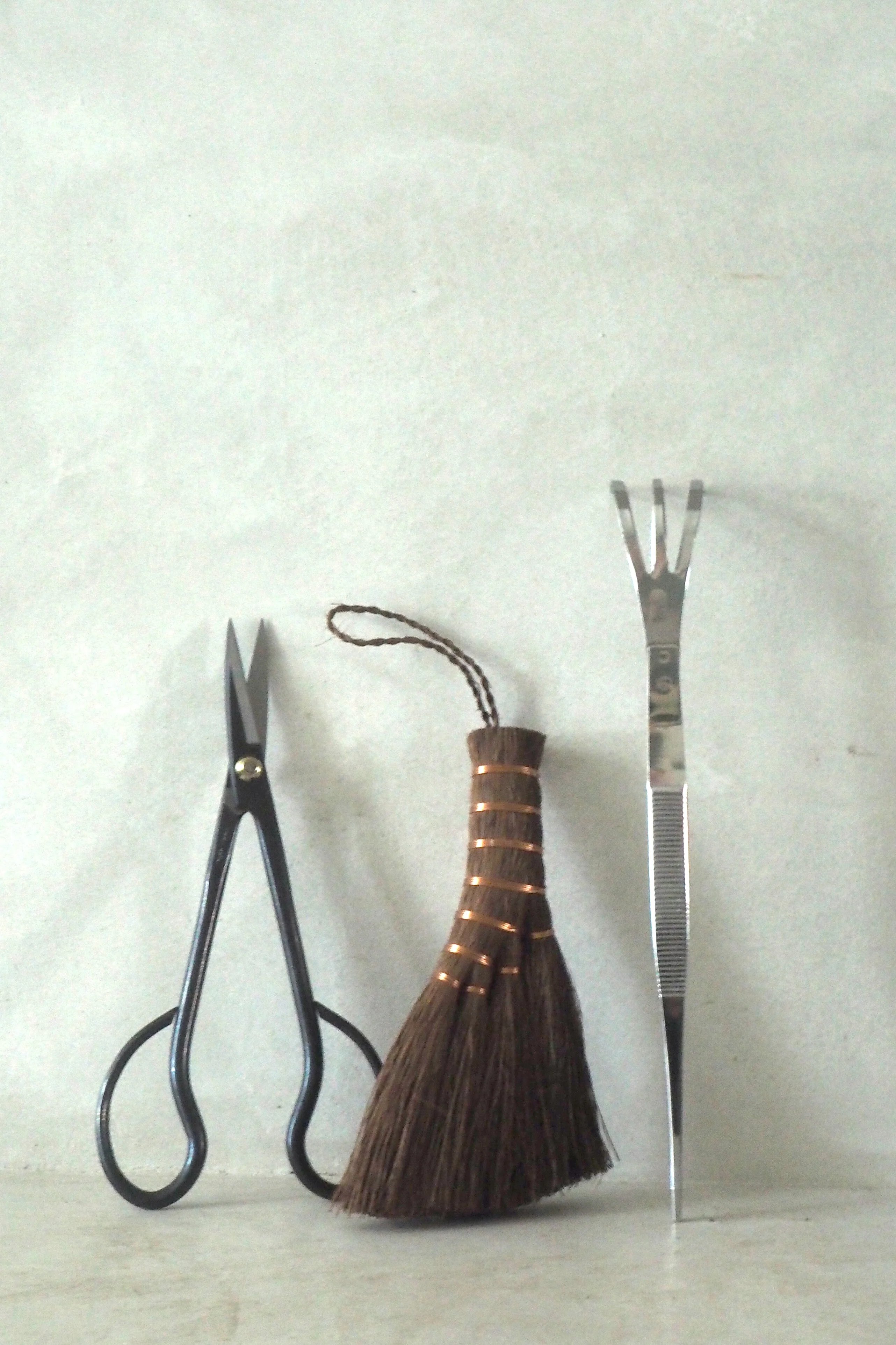 Pro Bonsai starter kit - Image 10