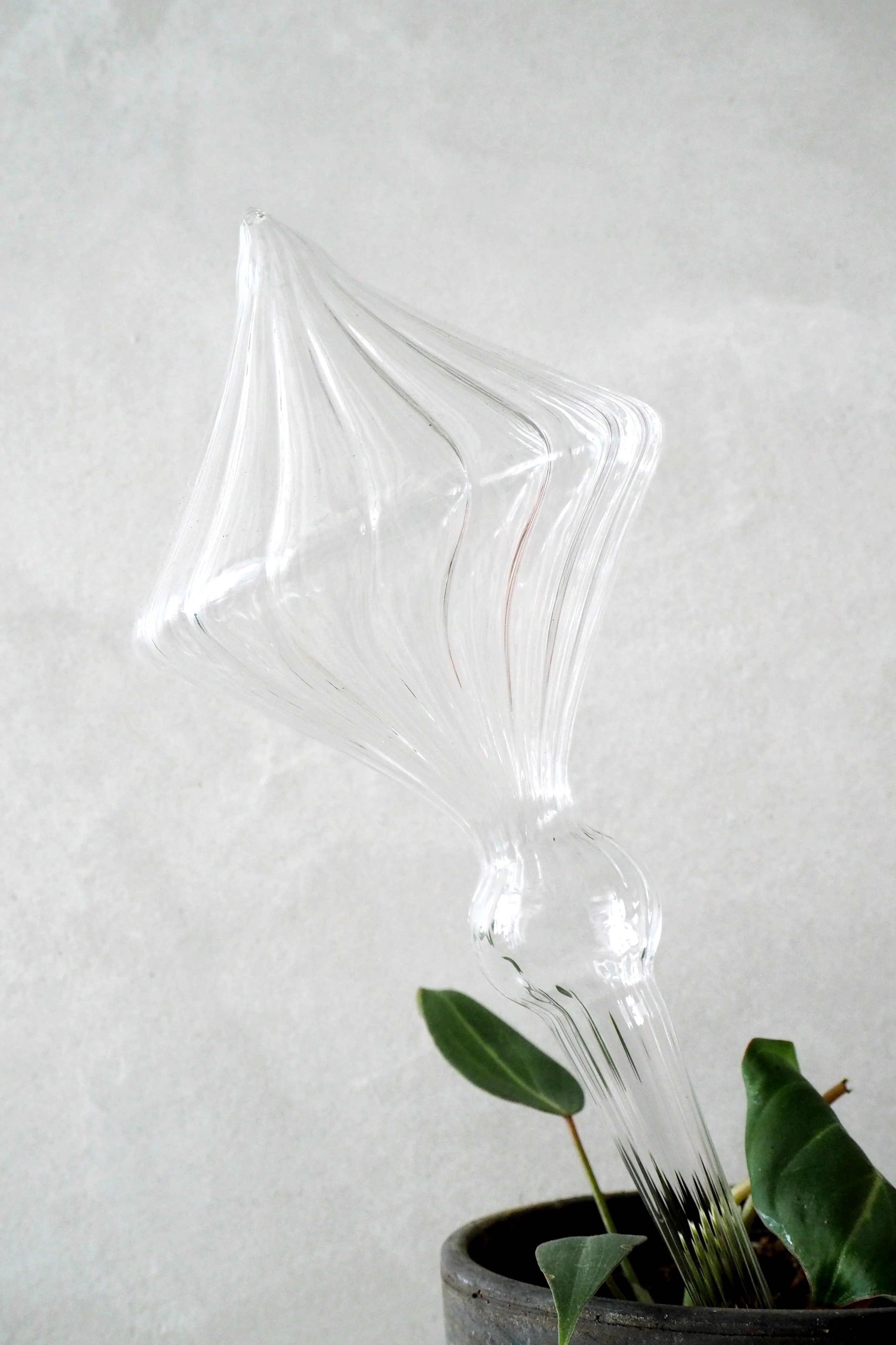 Selvvandingsglas, 4 stk - Image 4