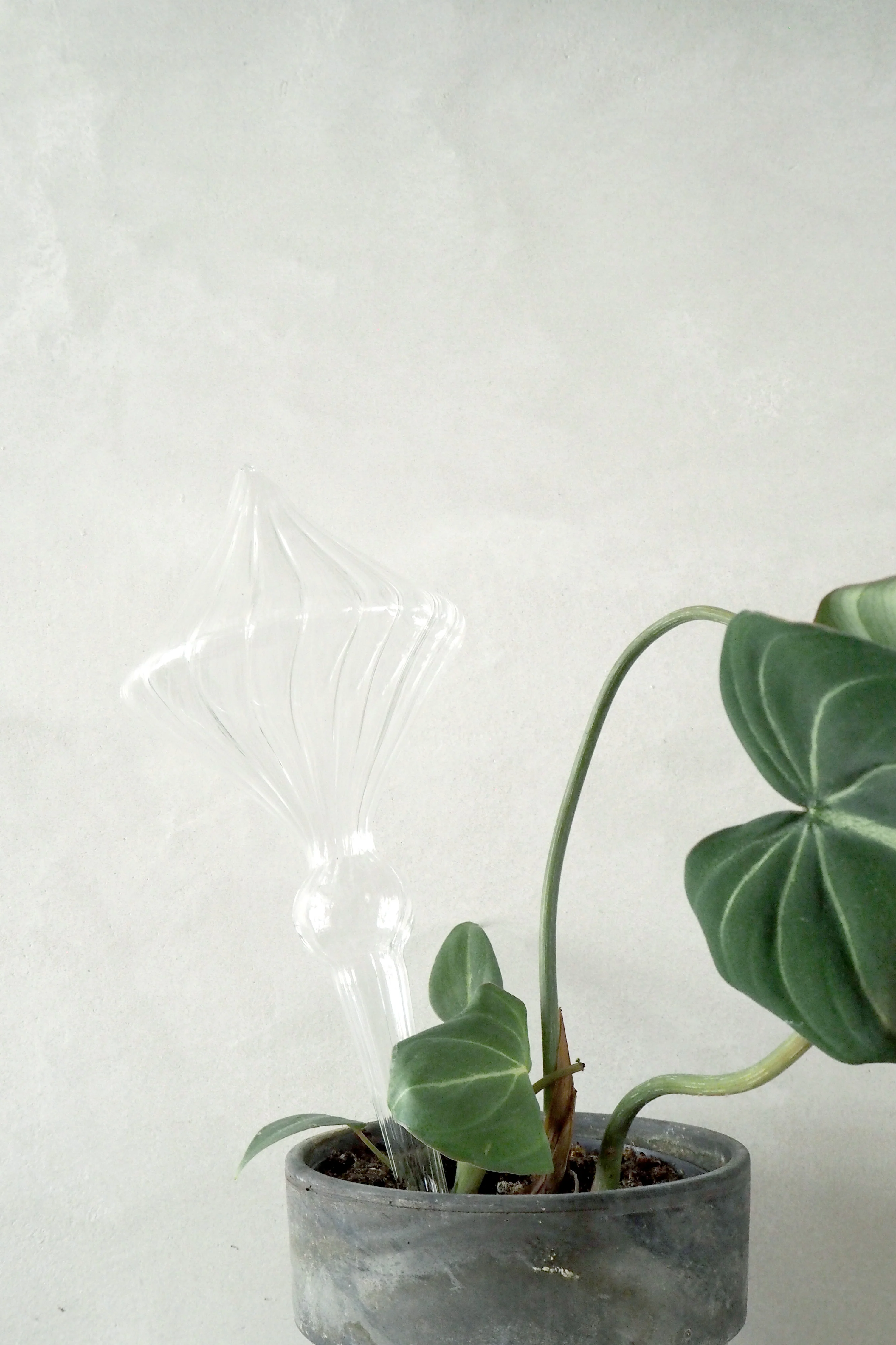Selvvandingsglas, diamond - Image 3