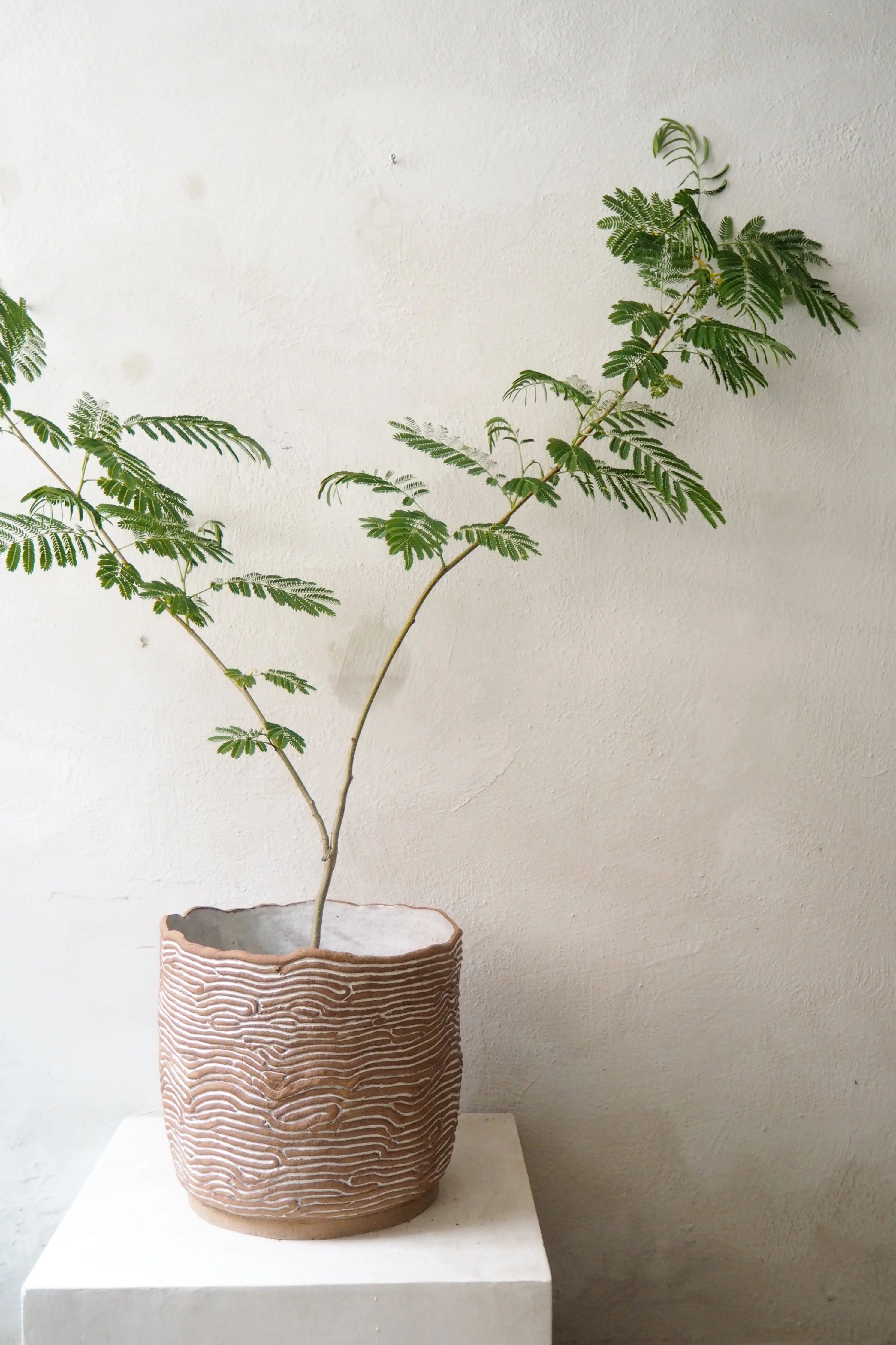 StineMei - Wood brown - Image 3