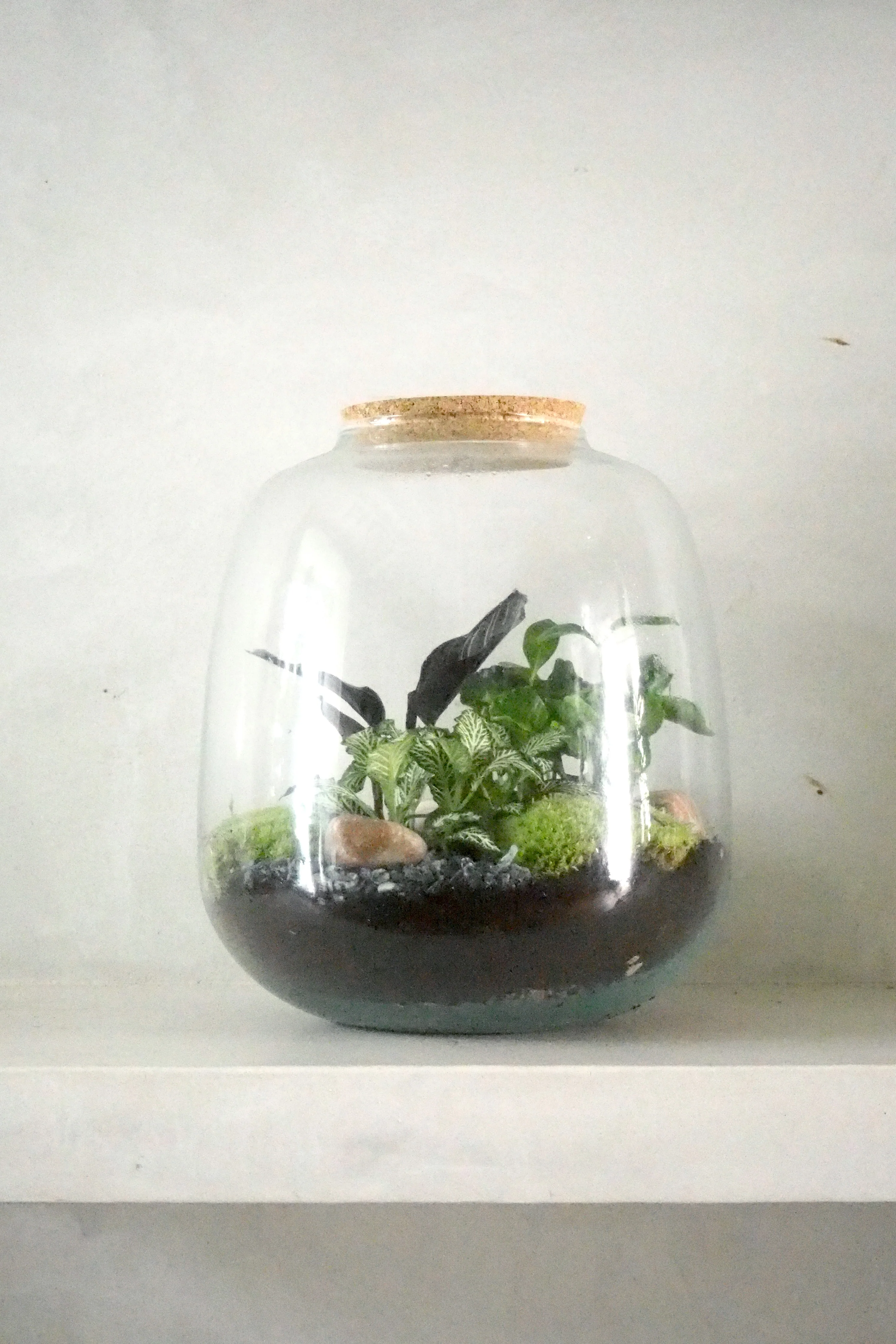 Miniaturebillede 1