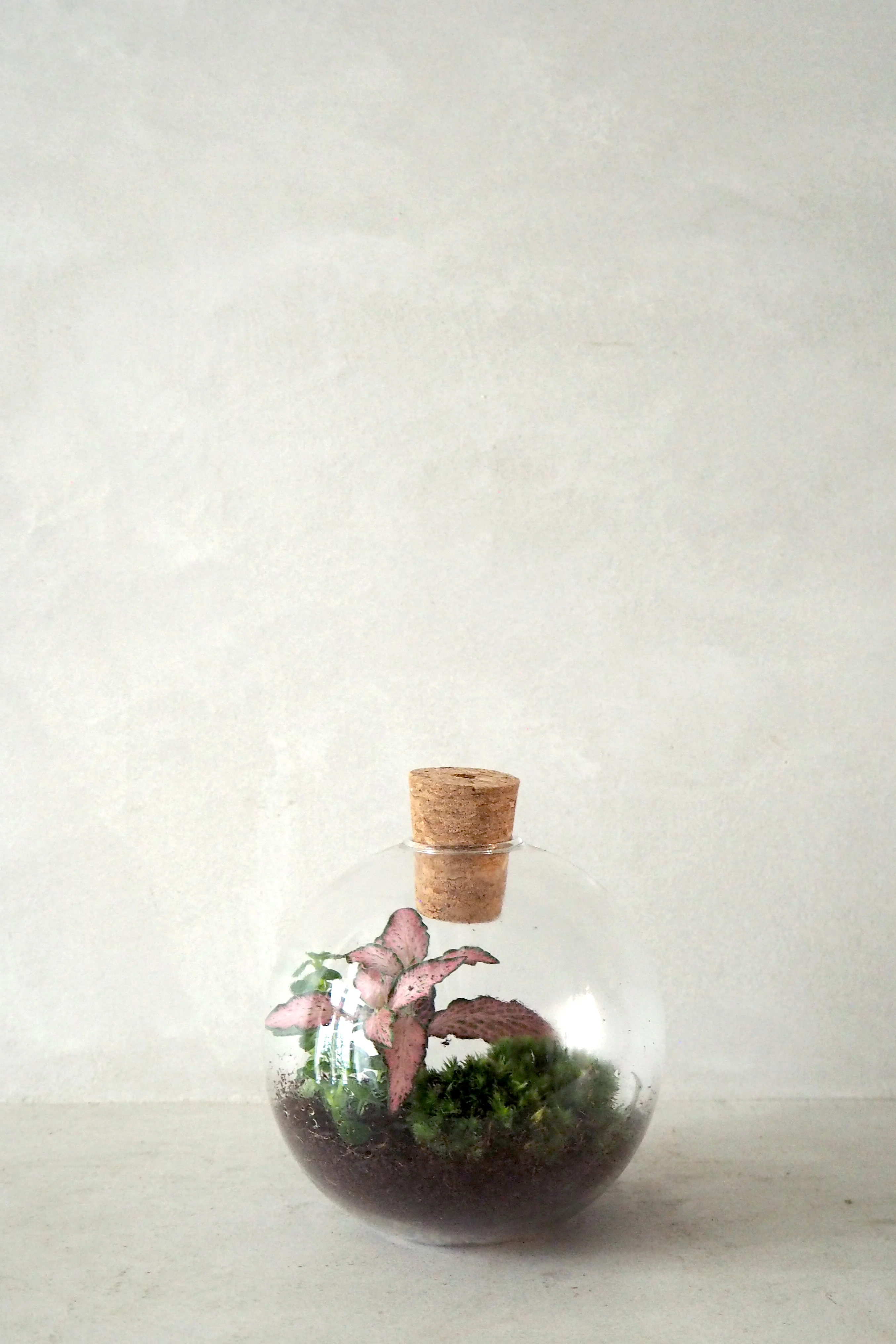 Terrarie no. 14