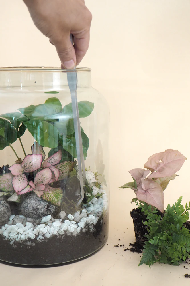 Terrariepincet - Image 4