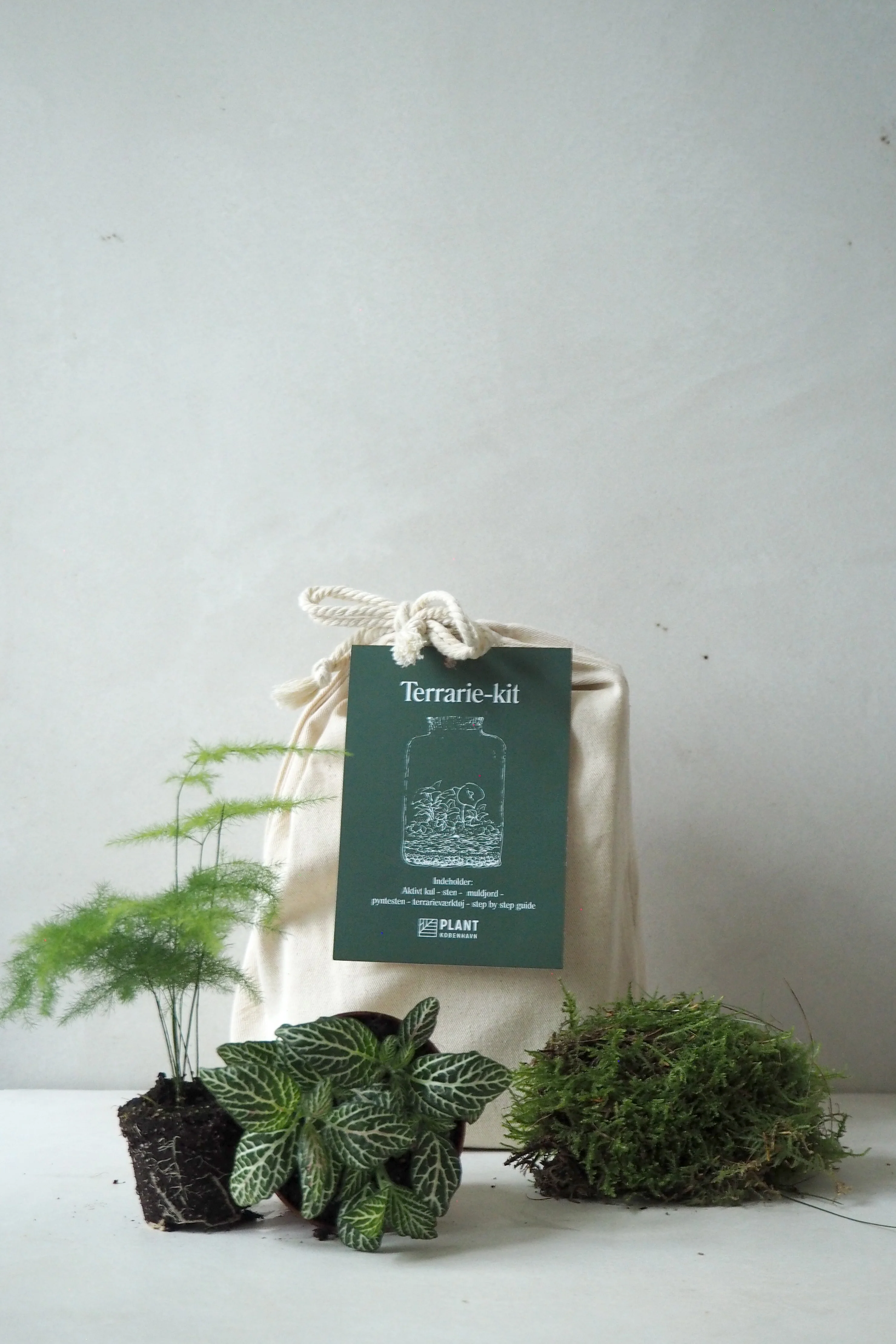 Terrariekit u. glas - Image 3
